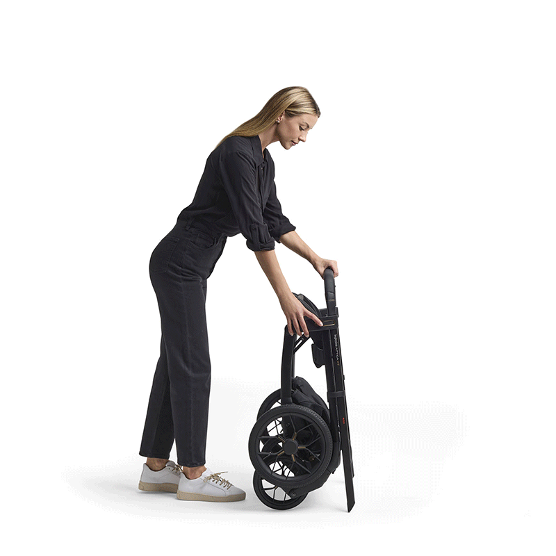 Inglesina Aptica XT Easy Folding