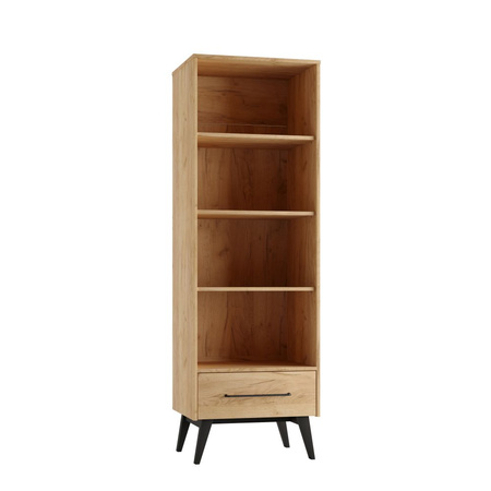 Pinio Retro tall bookcase dimensions and specifications