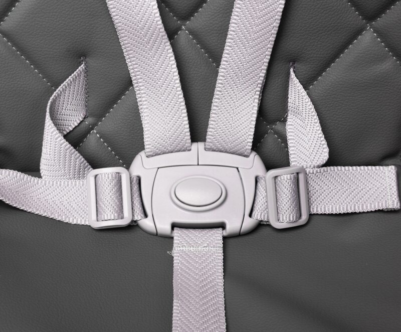 4Baby Master 5-point harness and tray lock