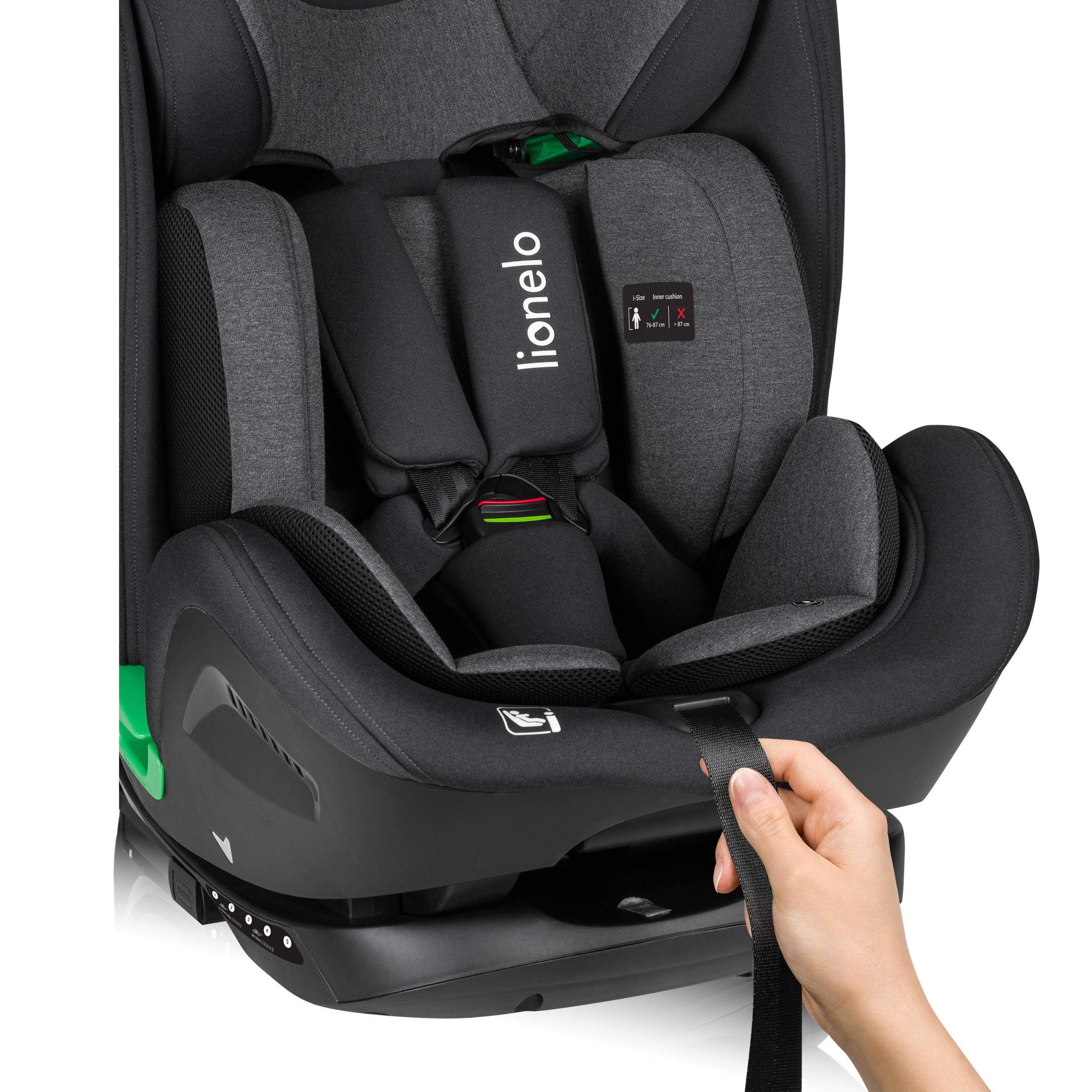 Internal harness in Lionelo Harper i-Size