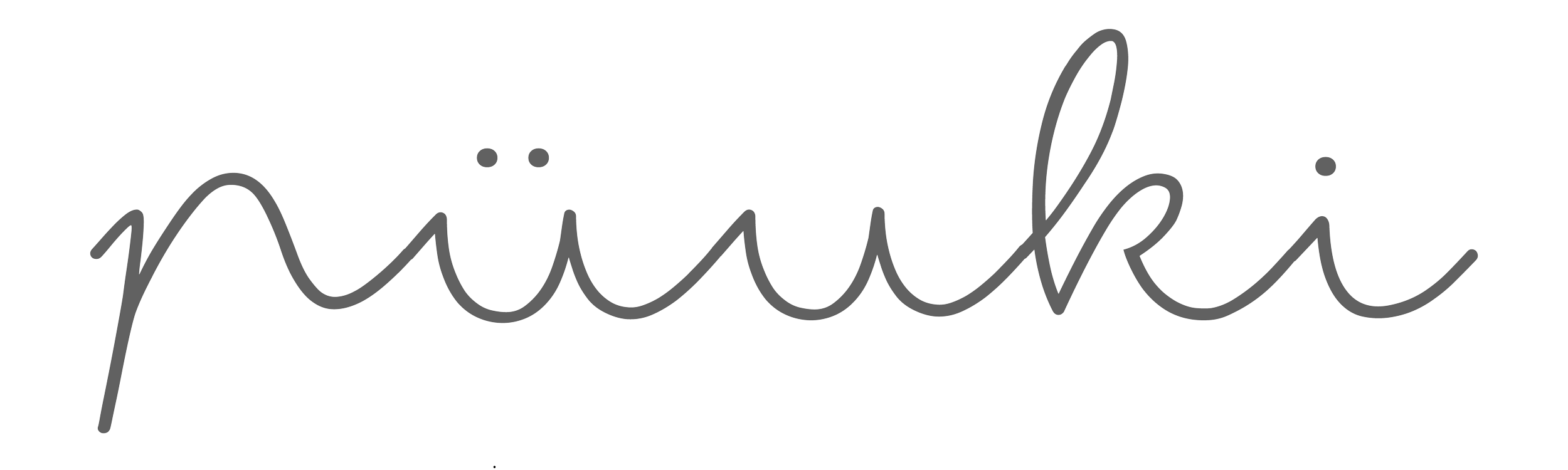 Puuki