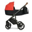 Roan Bass Next kočárek 2v1, Kolor materiału: Black, 3 zdjęcie