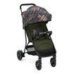 Graco Breaze Lite 2 - lehký sportovní kočárek, Kolor materiału: Couture Fern