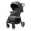 4Baby Stinger XXIII - sportovní kočárek, Kolekcja: XXIII, Kolor materiału: Graphite