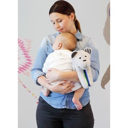 Whisbear Szumiący Miś z funkcją CRYsensor turkus | TOMI.pl