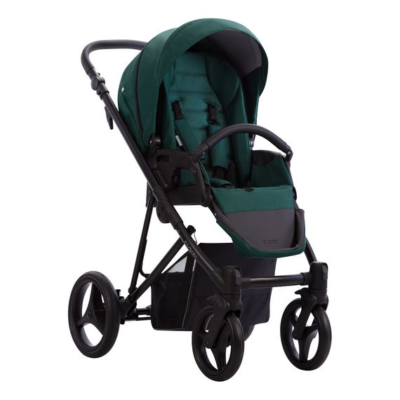 Bebetto Flavio 2-in-1 Pushchair, Kolekcja: Regular, Kolor: 12, image , 10 image