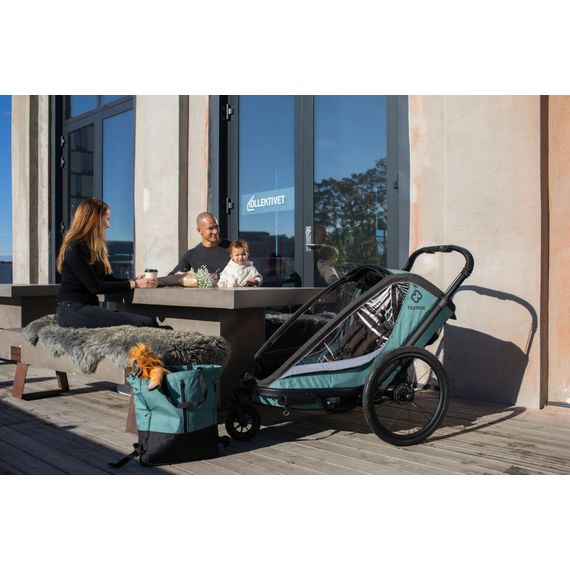 Hamax Cocoon - dvoumístný cyklovozík, Rodzaj wózka: dla dwójki dzieci, Kolor materiału: Green/Black, 30 zdjęcie