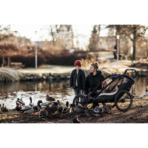Hamax Cocoon - dvoumístný cyklovozík, Rodzaj wózka: dla dwójki dzieci, Kolor materiału: Grey/Black, 35 zdjęcie