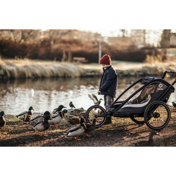 Hamax Cocoon - dvoumístný cyklovozík, Rodzaj wózka: dla dwójki dzieci, Kolor materiału: Grey/Black, 37 zdjęcie