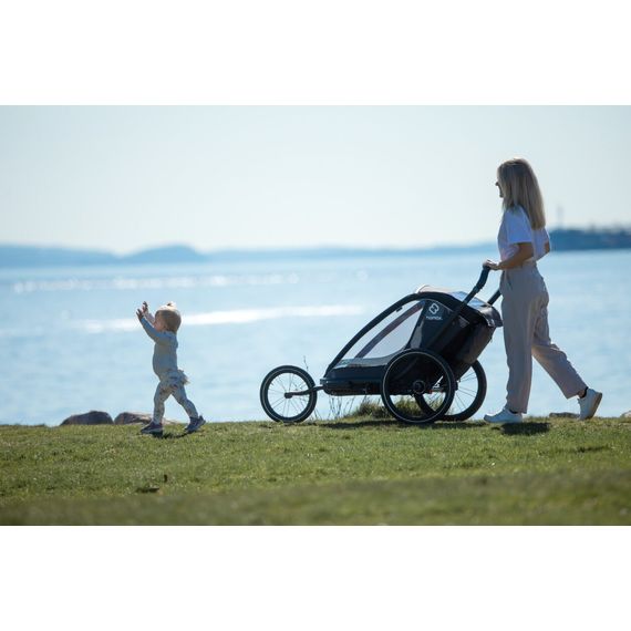 Hamax Cocoon - dvoumístný cyklovozík, Rodzaj wózka: dla dwójki dzieci, Kolor materiału: Grey/Black, 45 zdjęcie