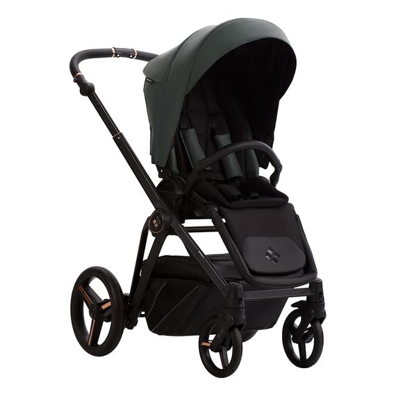 Bebetto Monti Pro 2-in-1 Premium Pushchair, Kolekcja: Pro, Kolor: stella 02, image , 11 image
