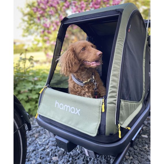 Hamax Pluto M přívěsný vozík pro psy do 35 kg Green / Black, 14 zdjęcie