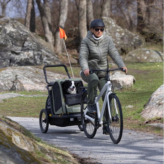 Hamax Pluto M přívěsný vozík pro psy do 35 kg Green / Black, 16 zdjęcie