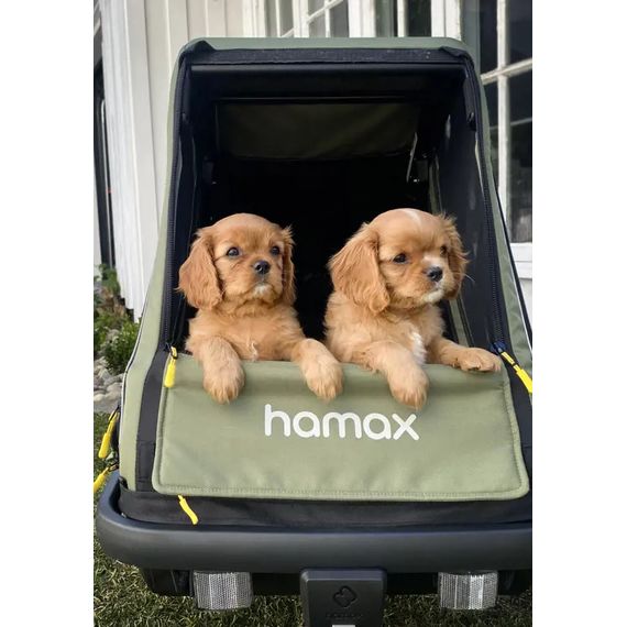 Hamax Pluto M přívěsný vozík pro psy do 35 kg Green / Black, 22 zdjęcie