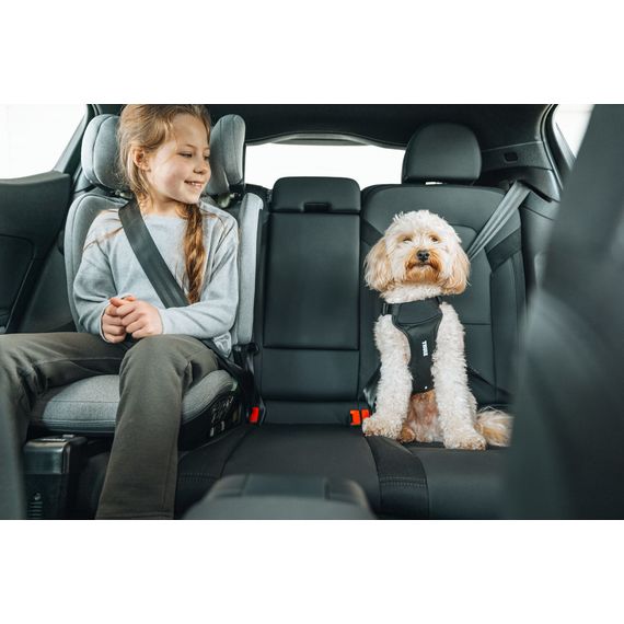 Thule Palm - High Back Booster Seat (100-150 cm | 15-36 kg | 3.5-12 Years), Kolor: Mid Gray, image , 14 image