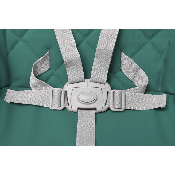 4Baby Master XXIII jídelní židlička Green, Kolor: Green, 19 zdjęcie