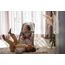 BabyBjorn Bliss lehátko Mesh Grey beige, Rodzaj: Mesh, Kolor: Grey beige, 13 zdjęcie