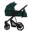 Bebetto Flavio 2-in-1 Pushchair, Kolekcja: Regular, Kolor: 12, image 