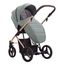 Bebetto Flavio Premium Class 2-in-1 Pushchair, Kolekcja: Premium Class, Kolor: Stella 03, image , 15 image