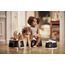 BabyBjorn nočník Smart Black/White, Kolor: Black/White, 10 zdjęcie
