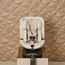 Silver Cross Motion All Size 360 - Rotating Car Seat (40-145 cm | 0-36 kg | Birth to 12 Years), Kolor: Almond, image , 7 image