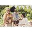 BabyBjorn Harmony nosítko 3D Mesh Cream, Rodzaj: nosidełko, Kolor: Cream, 13 zdjęcie