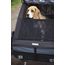 Thule Courier Dog Trailer Kit sada pro psa k přívěsu, 7 zdjęcie