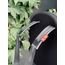 Hamax Caress Rear Rack-Mount Bicycle Child Seat, Baza: na bagażnik, Kolor: White/Black, image , 15 image