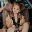 Lionelo Harmony i-Size - 360° Rotating Multi-Group Car Seat with Bamboo Fabric (40-150 cm | 0-36 kg | Birth to 12 Years), Kolor: Grey Concrete Bamboo, image , 15 image