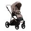 Bebetto Pelpasso 2-in-1 Lightweight Pushchair, Kolekcja: Regular, Kolor: 01, Kolor ramy: Kaszmir, image , 10 image