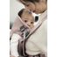 BabyBjorn Mini Woven nosítko Ztlumené růžové, Rodzaj: Woven, Kolor: Dusty pink, 8 zdjęcie