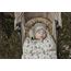 Elodie Details Pushchair Footmuff Fairytale Forest, image , 6 image