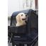 Hamax Pluto L přívěsný vozík pro psy do 45 kg Blue / Black, 11 zdjęcie