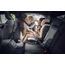 Thule Palm - autosedačka pro starší děti (100–150 cm | 15–36 kg | 3,5–12 let), Kolor: Soft Beige, 6 zdjęcie