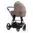 Bebetto Monti 2-in-1 Compact Pushchair, Kolekcja: Regular, Kolor: Kaszmir Czarny 08, image , 18 image