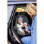 BeSafe Go Beyond² - autosedačka pro miminka s ležící polohou (40-87 cm | 0-13 kg | 0-18 měsíců), Baza: bez bazy, Kolor: Peak Mesh, 9 zdjęcie