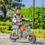 Hyper GoGo Pioneer 12 Plus with App Electric Motorcycle Orange, Kolor: pomarańczowy, image , 10 image