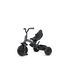 QPlay Elite Platinum tříkolka Grey, Kolor: Grey, 14 zdjęcie