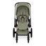 Cybex Priam 5 2w1 Style City Grey - Chrome Brown, Rodzaj: głęboko-spacerowy, Kolekcja: Style, Kolor: Sage Green, Kolor ramy: Rosegold, image , 10 image
