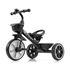 Milly Mally Bobby Tricycle Black, Kolor: Black, image 